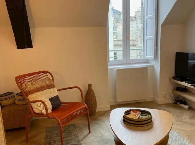 Canopee - Appartement - Hyper Centre Ville